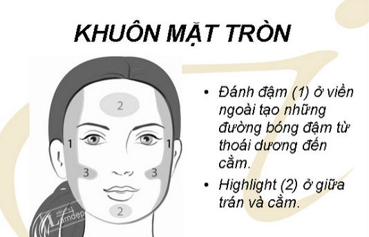 Mặt tròn có tỉ lệ gương mặt tương đương nhau