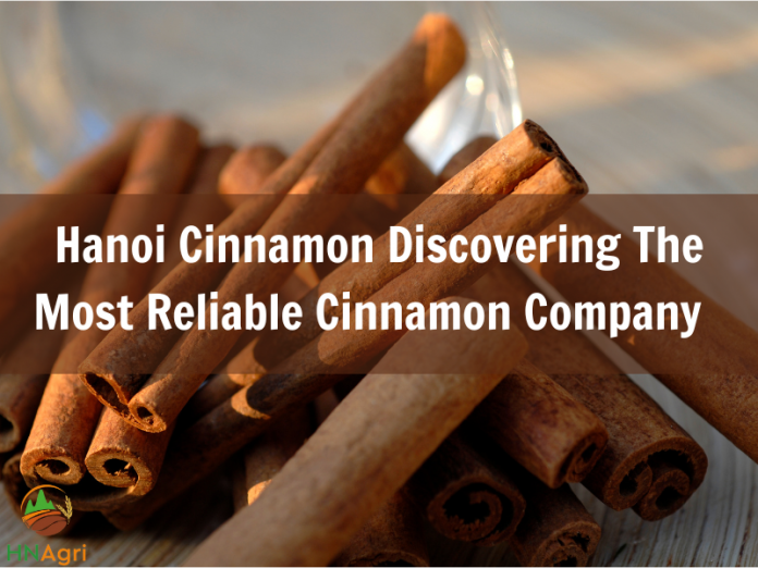 hanoi-cinnamon-discovering-the-most-reliable-cinnamon-company