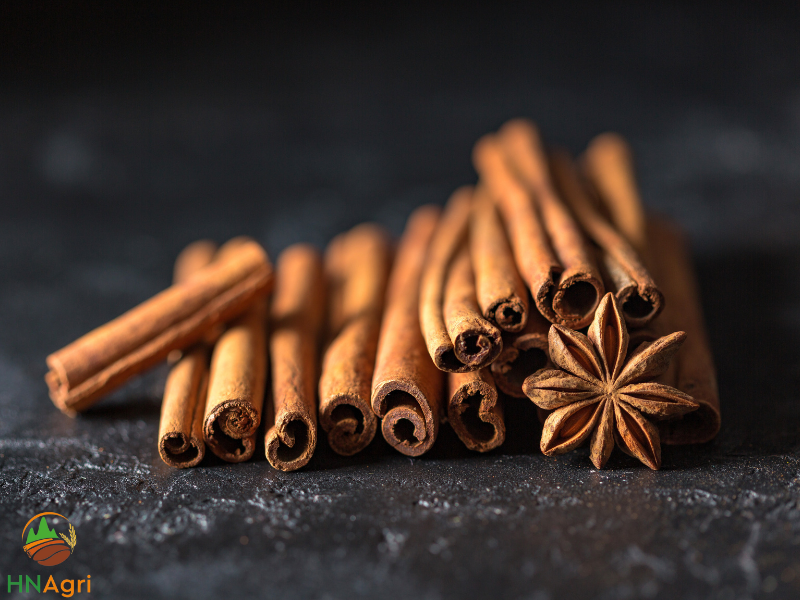 hanoi-cinnamon-discovering-the-most-reliable-cinnamon-company-1