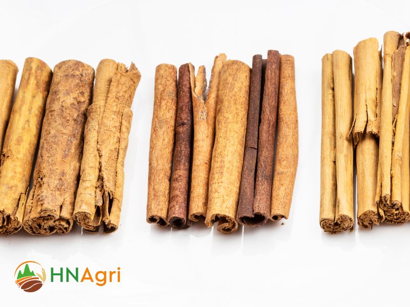 chinese-cinnamon-a-must-have-spice-for-wholesale-buyers-2