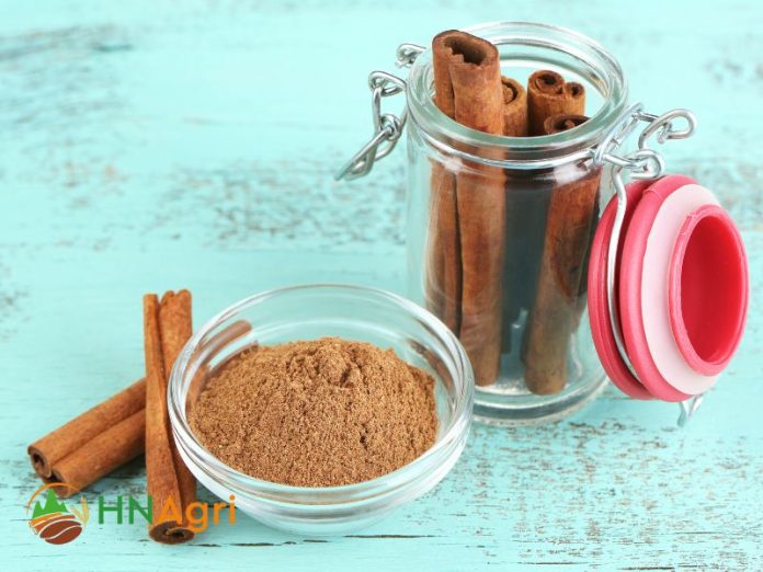 cinnamon-powder-enhancing-taste-and-health-in-every-pinch-1