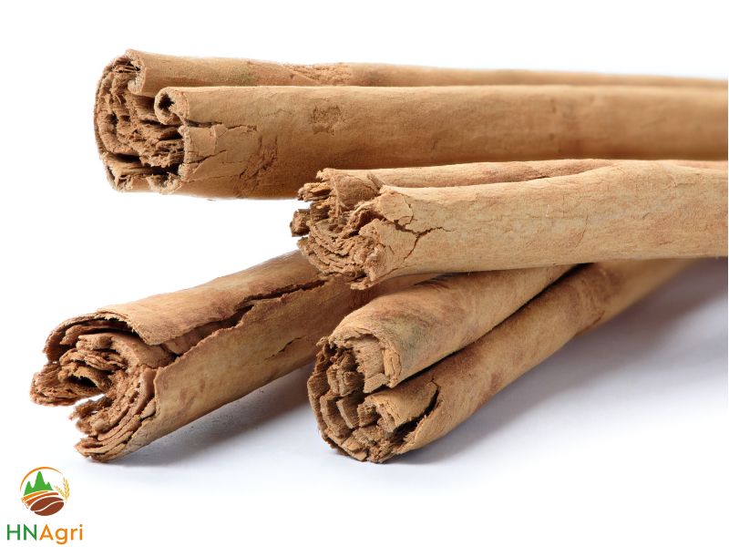 ceylon-cinnamon-sticks-the-ultimate-choice-for-wholesale-buyers-1